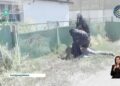 Талдықорғанда 32 жастағы ер адамнан 6,5 келі гашиш тәркіленді