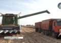 Жаркентте жүгері жинау науқаны жалғасып жатыр