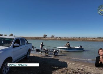 Балқаш көліне 260 мың шабақ жіберілді